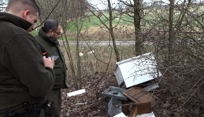 Groene boa's bij gedumpt afval
