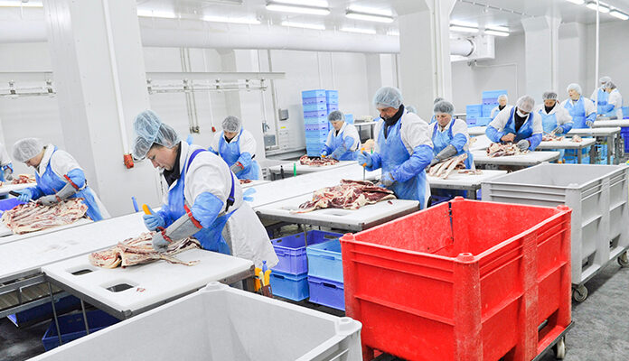 Meerdere medewerkers verwerken vlees