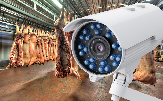 Camera voor geslachte dieren
