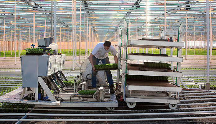 Man aan het werk in glastuinbouw