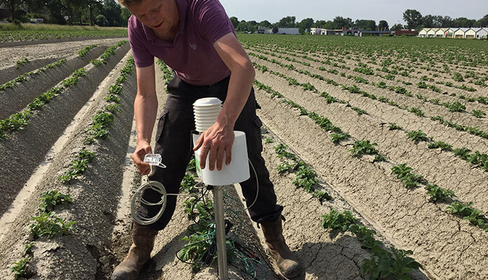Met nepaardappels maakt boer een digital twin van akker en ziet hij op het scherm waar kunstmest en water nodig zijn