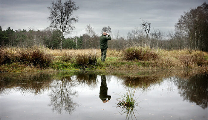 Boswachter houdt toezicht op natuurgebied
