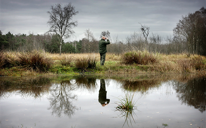 Boswachter houdt toezicht op natuurgebied