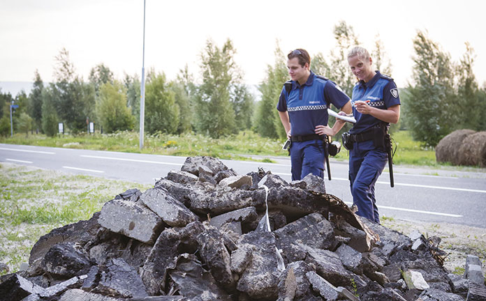 2 boa's inspecteren puin op straat.