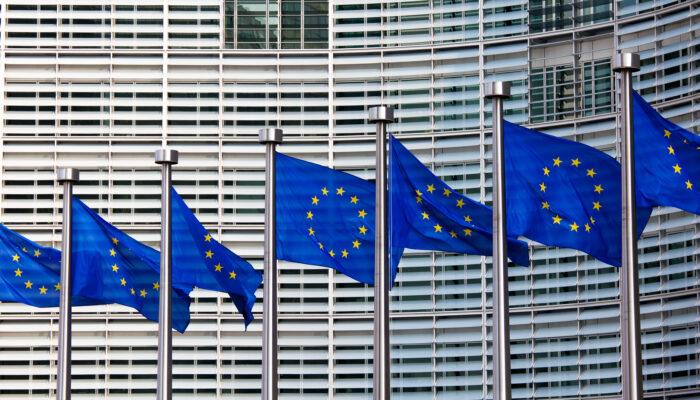 Europese vlaggen met op de achtergrond een groot gebouw