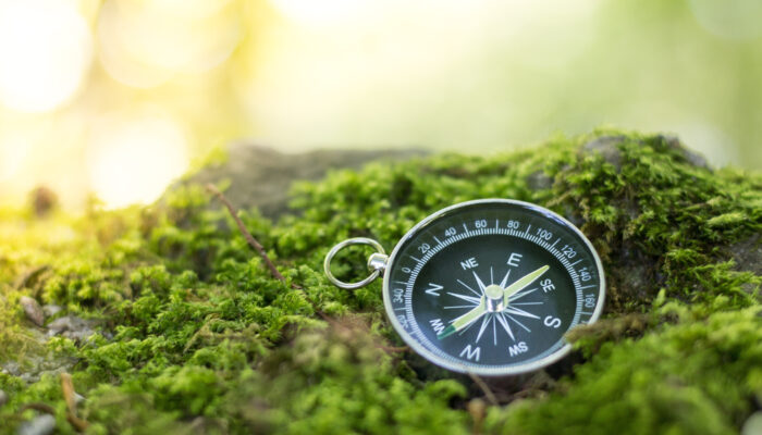 Afbeelding van kompas op mos